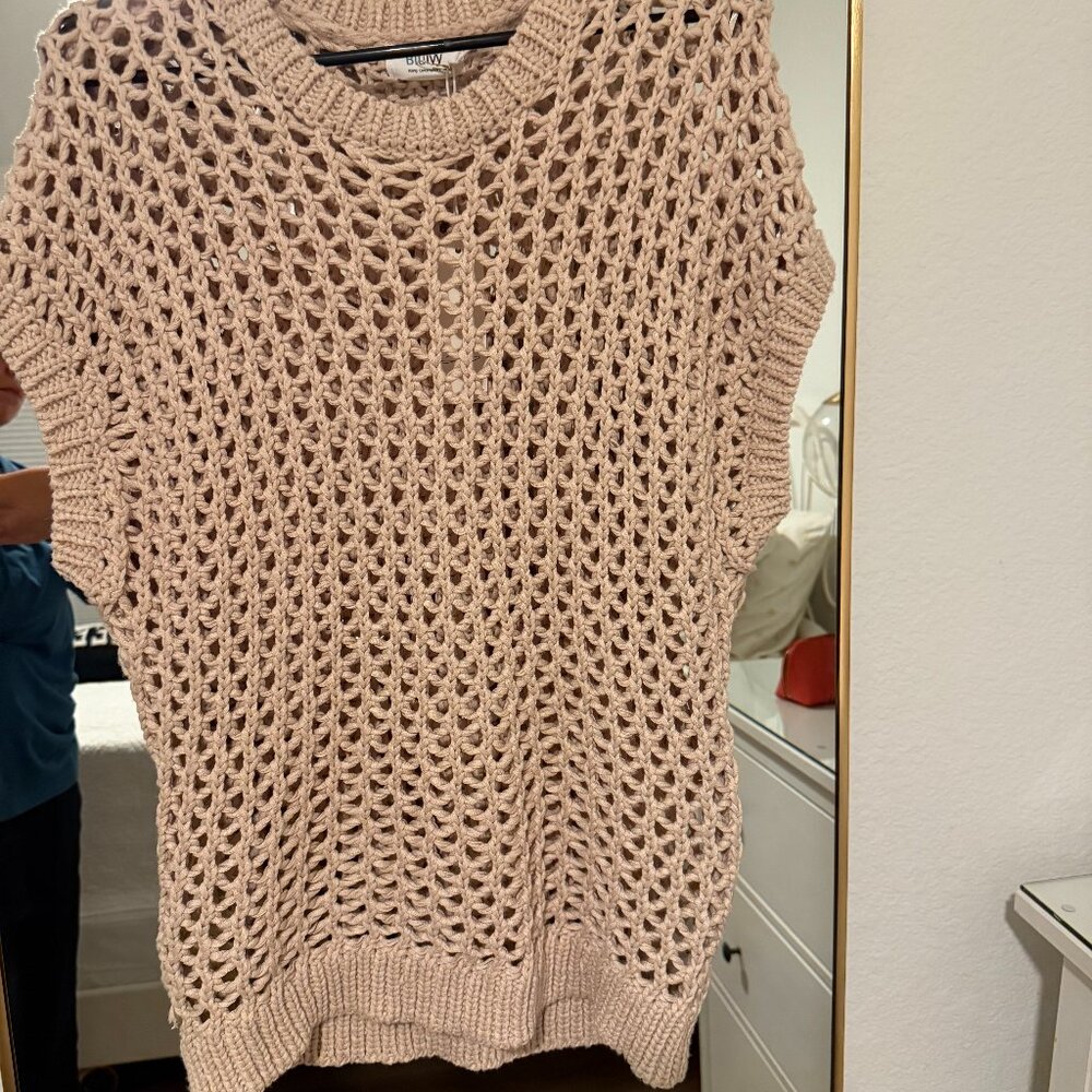 BlueIvy Mesh Short Sleeve Sweater